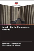 Ikechukwu Anthony Kanu, Ejikemeuwa J. O Ndubisi - Les droits de l'homme en Afrique
