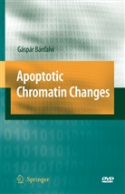 Gaspar Banfalvi - Apoptotic Chromatin Changes