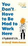 Benji Waterhouse - You Don't Have to Be Mad to Work Here