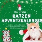 Bibi Hübsch - Der grosse Katzen-Adventskalender