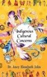 Ancy - Indigenous Cultural Concerns