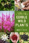 Department Of The Army - Official U.s. Army Illustrated Guide to Edible Wild Plants