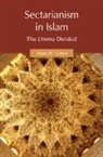 Adam R Gaiser, Adam R. Gaiser, Adam R. (Florida State University) Gaiser, Gaiser Adam R. - Sectarianism in Islam
