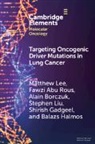 Fawzi Abu Rous, Fawzi (Henry Ford Health System) Abu Rous, Alain Borczuk, Alain (Weill Cornell Medicine) Borczuk, Shirish Gadgeel, Shirish (Henry Ford Health System) Gadgeel... - Targeting Oncogenic Driver Mutations in Lung Cancer