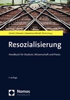 Heinz Cornel, Christian Ghanem, Gabriele Kawamura-Reindl, Gabriele Kawamura-Reindl u a, Ineke Regina Pruin - Resozialisierung