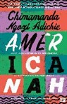 Chimamanda Ngozi Adichie, Chimamanda Ngozi Adichie - Americanah