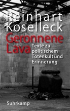 Reinhart Koselleck, Manfred Hettling, Hubert Locher, Adriana Markantonatos - Geronnene Lava