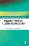 Adrian Lis, Anna Maria Lis, Anna Maria Lis Lis - Proximity and the Cluster Organization