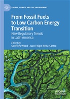 Uddhaba Biswal, Snehashish Chakraverty, Felipe Neira-Castro, Juan Felipe Neira-Castro, Geoffrey Wood - From Fossil Fuels to Low Carbon Energy Transition