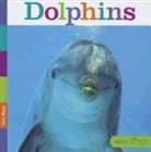 Kate Riggs - Dolphins