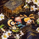 Kevin Jay Stanton - BOTANICA: The Tarot Deck About the Language of Flowers