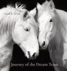 Sarah E Grote - Journey of the Dream Team