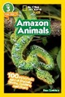 Rose Davidson - Amazon Animals - 100 Fun Facts about Snakes, Sloths, Spiders and more