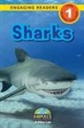 Ashley Lee, Alexis Roumanis - Sharks