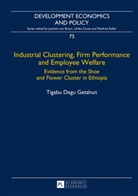 Tigabu Degu Getahun - Industrial Clustering, Firm Performance and Employee Welfare