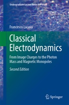 Francesco Lacava - Classical Electrodynamics