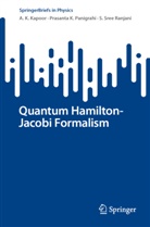 A K Kapoor, A. K. Kapoor, Prasanta K Panigrahi, Prasanta K. Panigrahi, S Sree Ranjani, S. Sree Ranjani - Quantum Hamilton-Jacobi Formalism