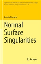 András Némethi - Normal Surface Singularities