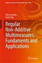 Alina Gavrilu¿, Alina Gavrilut, Endre Pap - Regular Non-Additive Multimeasures. Fundaments and Applications