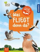 Lea Hille, Paschalis Dougalis, Steffen Walentowitz - Mein erster Naturführer, Was fliegt denn da?
