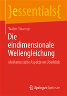Walter Strampp - Die eindimensionale Wellengleichung