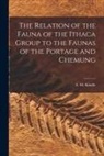 E. M. (Edward Martin) Kindle - The Relation of the Fauna of the Ithaca Group to the Faunas of the Portage and Chemung [microform]