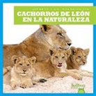 Marie Brandle - Cachorros de León En La Naturaleza (Lion Cubs in the Wild)