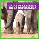 Marie Brandle - Crías de Elefante En La Naturaleza (Elephant Calves in the Wild)
