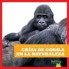 Marie Brandle - Crías de Gorila En La Naturaleza (Gorilla Infants in the Wild)