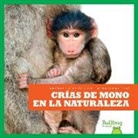 Marie Brandle - Crías de Mono En La Naturaleza (Monkey Infants in the Wild)