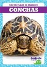 Jenna Lee Gleisner - Conchas (Shells)