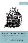 Margaret Elizabeth Koestenberger, Margaret Elizabeth Kostenberger, Margaret Elizabeth Köstenberger, Dane C. Ortlund, Miles V. Van Pelt - Sanctification as Set Apart and Growing in Christ