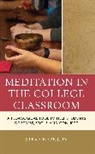 Steve Haberlin - Meditation in the College Classroom