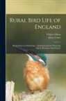 Elliott Coues, Charles Dixon - Rural Bird Life of England: Being Essays on Ornithology, With Instructions for Preserving Objects Relating to That Science