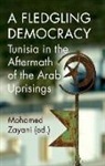 Zayani, Mohamed (EDT) Zayani, Mohamed Zayani - A Fledgling Democracy