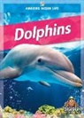 Colleen Sexton - Dolphins
