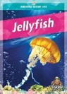 Colleen Sexton - Jellyfish