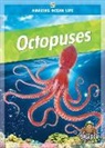 Colleen Sexton - Octopuses