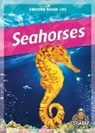 Colleen Sexton - Seahorses