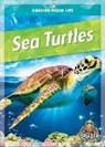 Colleen Sexton - Sea Turtles