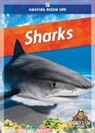 Colleen Sexton - Sharks