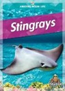 Colleen Sexton - Stingrays
