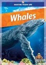 Colleen Sexton - Whales