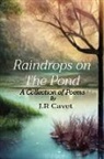 J. R Cavet - Raindrops on The Pond