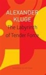 Wieland Hoban, Alexander Kluge - The Labyrinth of Tender Force – 166 Love Stories