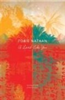 Tobie Nathan, Joyce Zonana - A Land Like You