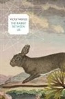 Victor Menza - The Rabbit Between Us