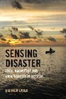 Dr. Matthew Lauer, Matthew Lauer - Sensing Disaster