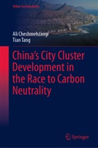 Ali Cheshmehzangi, Tian Tang - China's City Cluster Development in the Race to Carbon Neutrality