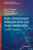 Aleksandar Janji¿, Aleksandar Janjic, Velimirovi, Jelena D. Velimirovi¿, Lazar Z. Velimirovi¿, Jelena D. Velimirovic... - Multi-criteria Decision Making for Smart Grid Design and Operation